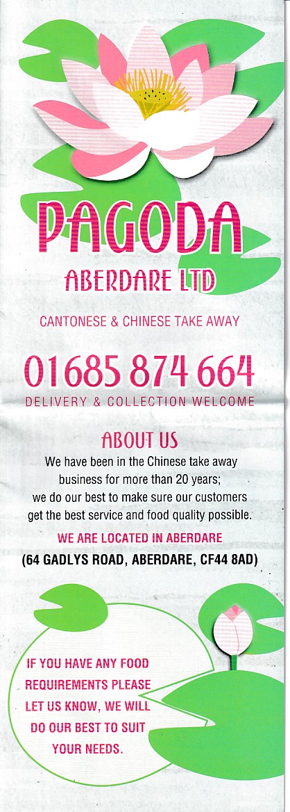 Menu of Pagoda, Chinese Takeaway in Aberdare